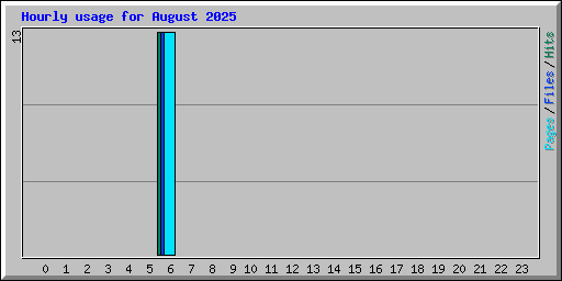 Hourly usage for August 2025
